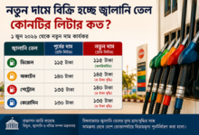 জ্বালানি তেলের নতুন দাম কার্যকর: সরকারের মূল্য সমন্বয়, বিরোধীদের সমালোচনা, ভোক্তাদের উদ্বেগ
