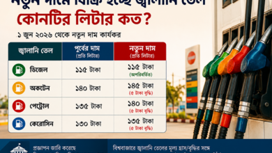 জ্বালানি তেলের নতুন দাম কার্যকর: সরকারের মূল্য সমন্বয়, বিরোধীদের সমালোচনা, ভোক্তাদের উদ্বেগ