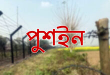 যশোরের বেনাপোল সীমান্তে ১০ বাংলাদেশিকে পুশ-ইন চেষ্টা, জিরো লাইনে অবস্থান
