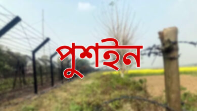 যশোরের বেনাপোল সীমান্তে ১০ বাংলাদেশিকে পুশ-ইন চেষ্টা, জিরো লাইনে অবস্থান
